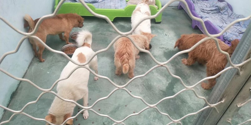 77035d1b-0a7a-45b0-b57f-63fc8a792bdc