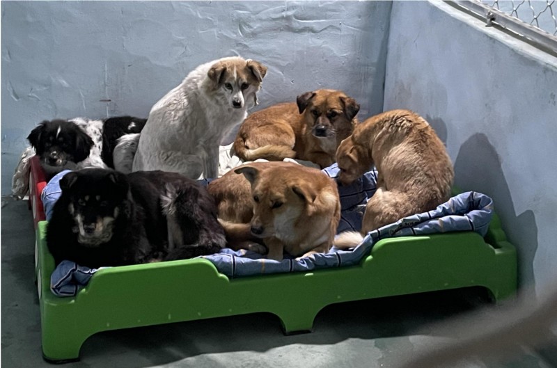 a37a2ee0-66db-4048-ab86-3ab2e9f8c57a