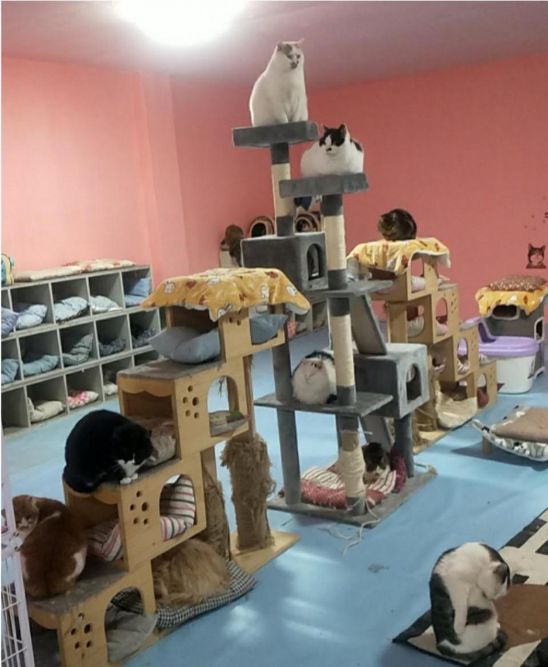 6843d885-0ee2-4b71-b209-97240c33d01f