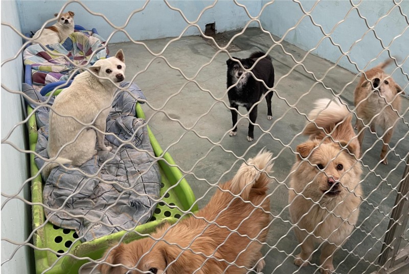 675225a9-dac9-4685-a671-6b16a0302887