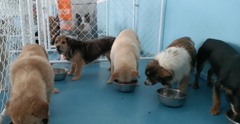 微信图片_20210617163828