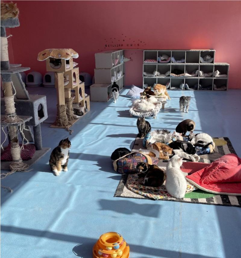 d2723a6e-c067-43b7-b4ca-1e0dc497b122