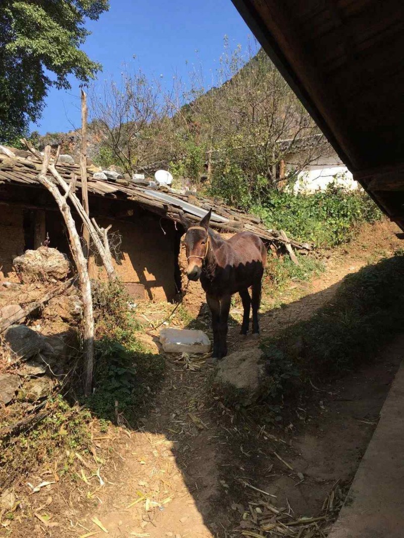 微信图片_20200708115137