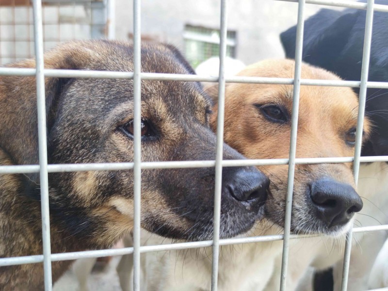 IMG_20211009_113421(1)(2)