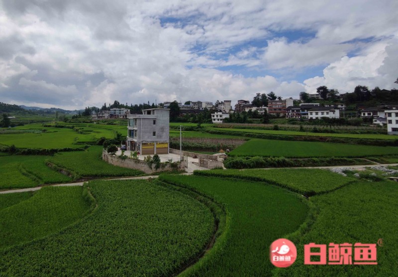 3d6dec54938a26a0540f7c46e5dea9e(1)(2)