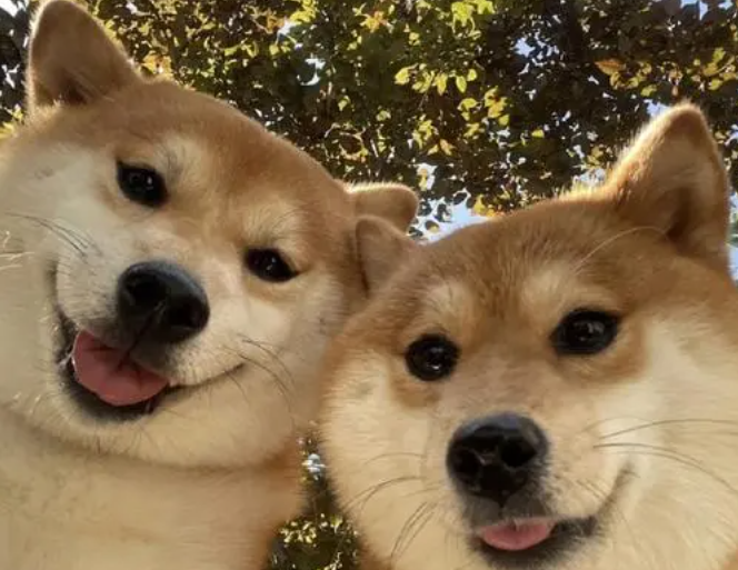 旧衣服改造手工