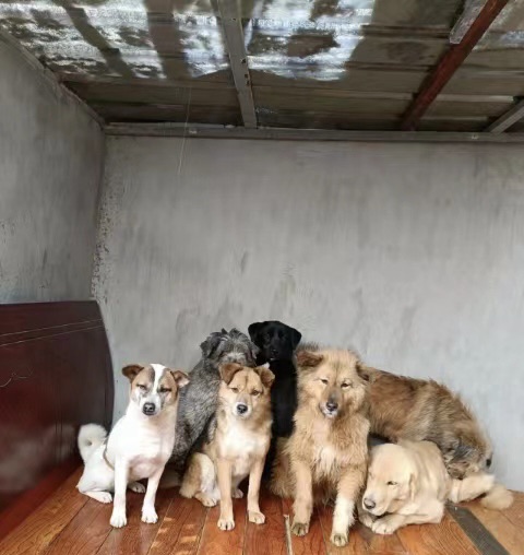 252f4f99-e824-46e0-8b39-6d218d934eab