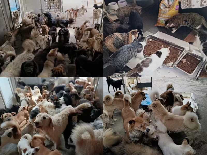 985e6854-fd2d-48e3-967a-04d60db76d7d(1)(1)