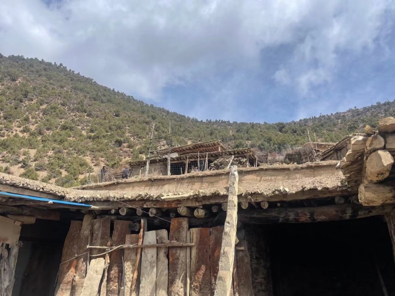 3137f85f-ab41-46ee-874e-5c62e679847a