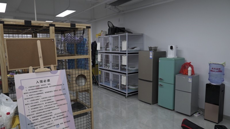 7d721f3c-41d9-4b82-aee8-26c393d22dca