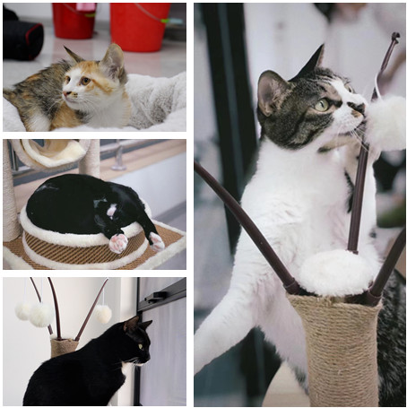 20221012_C0427.00_00_21_04.Still004_副本