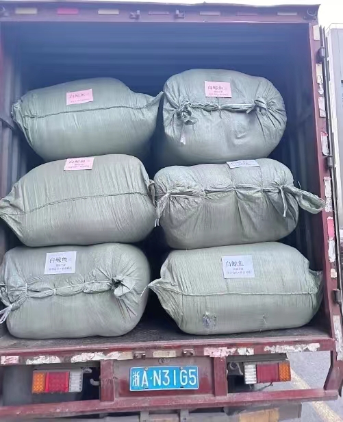 _cgi-bin_mmwebwx-bin_webwxgetmsgimg__&MsgID=1618351284054665173&skey=@crypt_7537e9df_7a0c4d2c0839fcd19d2ebf9954c29f35&mmweb_appid=wx_webfilehelper