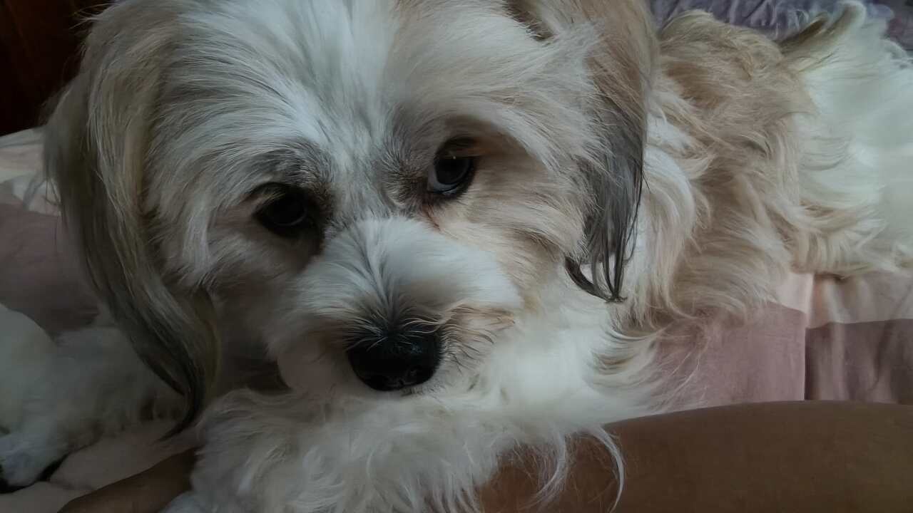 晒出我的成就