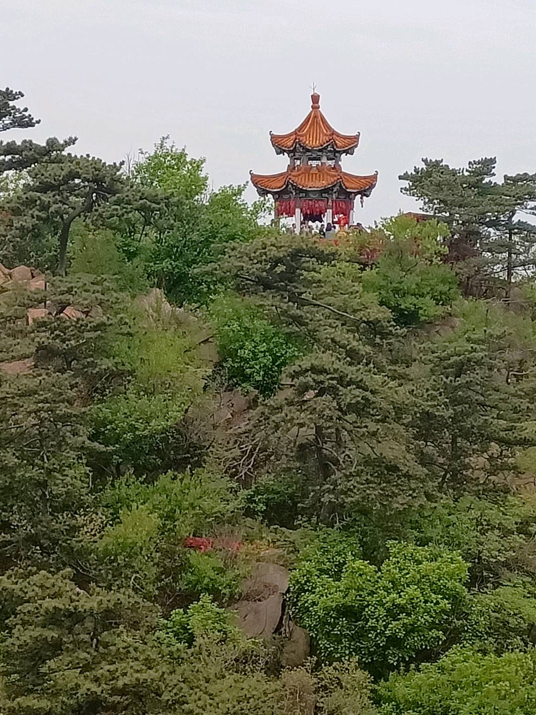 七嘴八舌