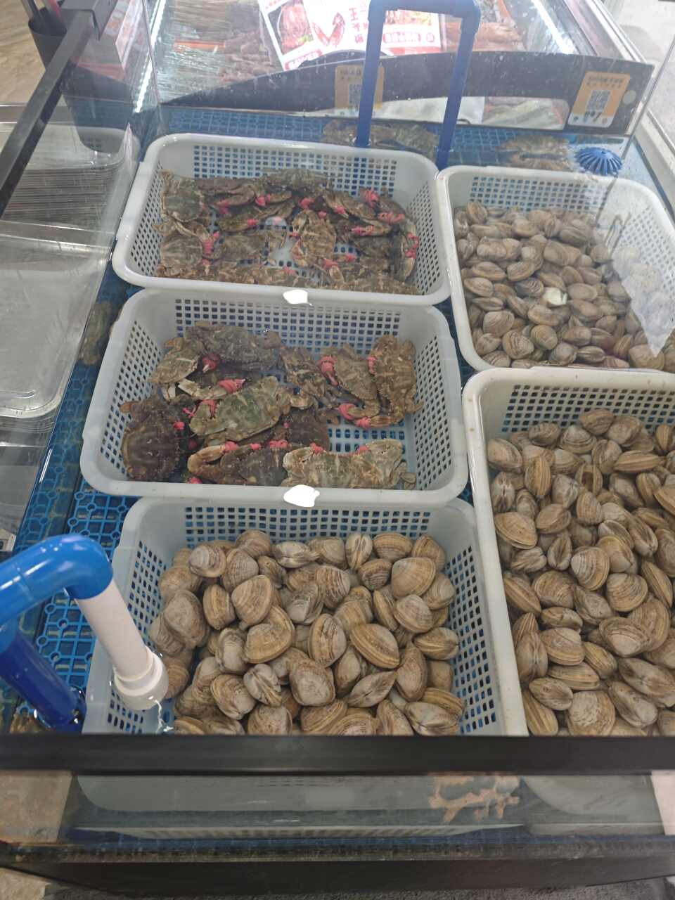 七嘴八舌