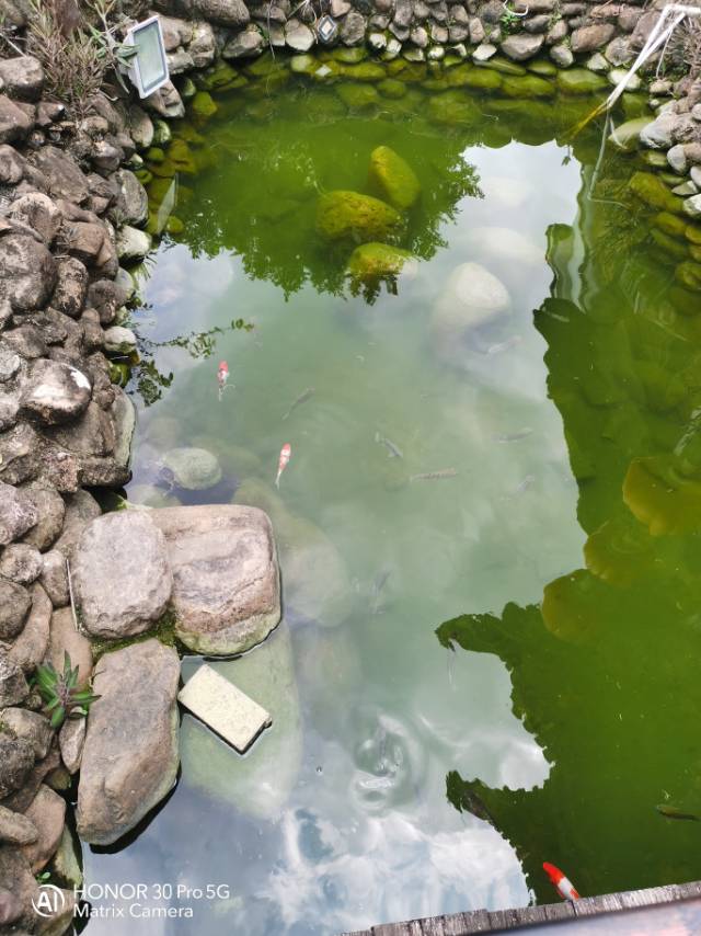低碳出行