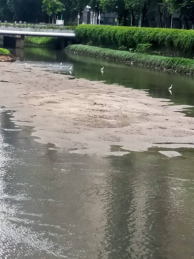白鲸鱼星圈
