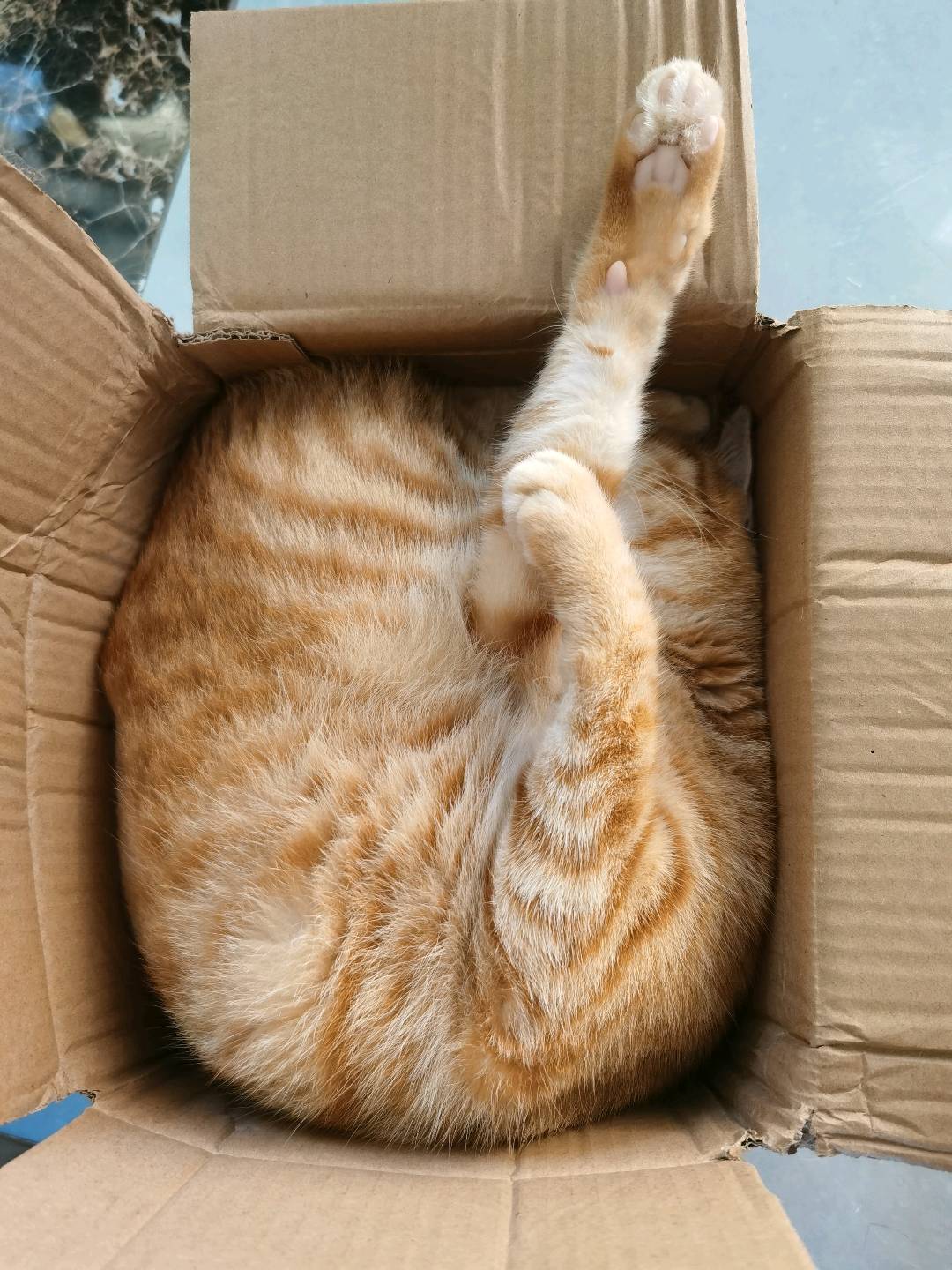 七嘴八舌