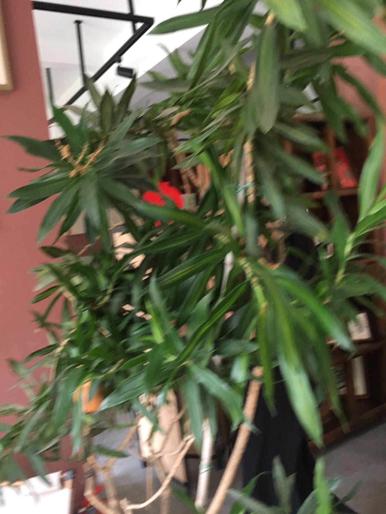 晒出我的成就
