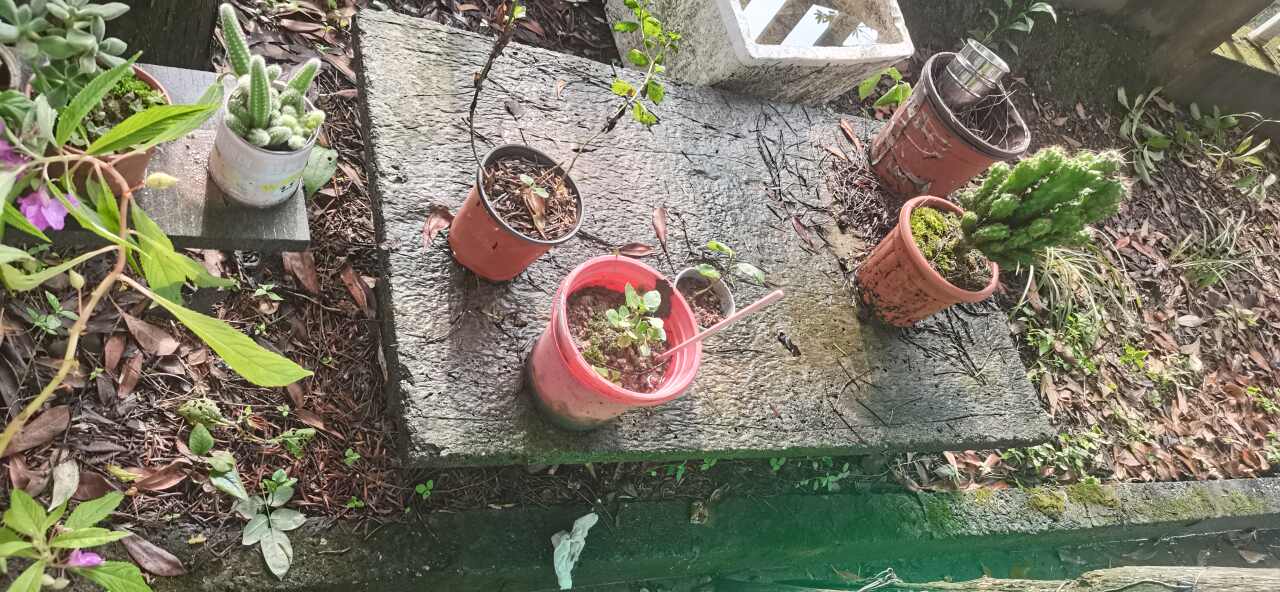享爱一刻