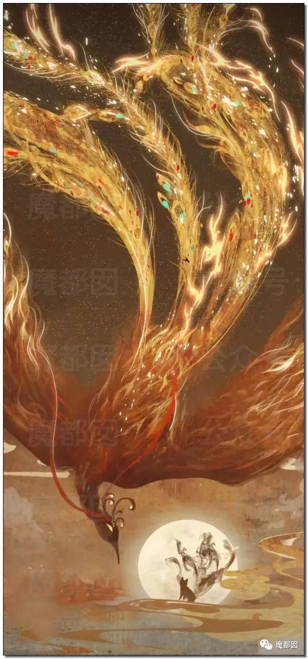 白鲸鱼星圈