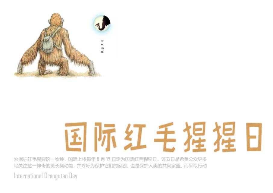 喂流浪动物一口粮