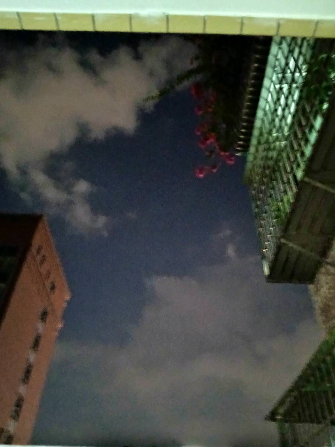 七嘴八舌