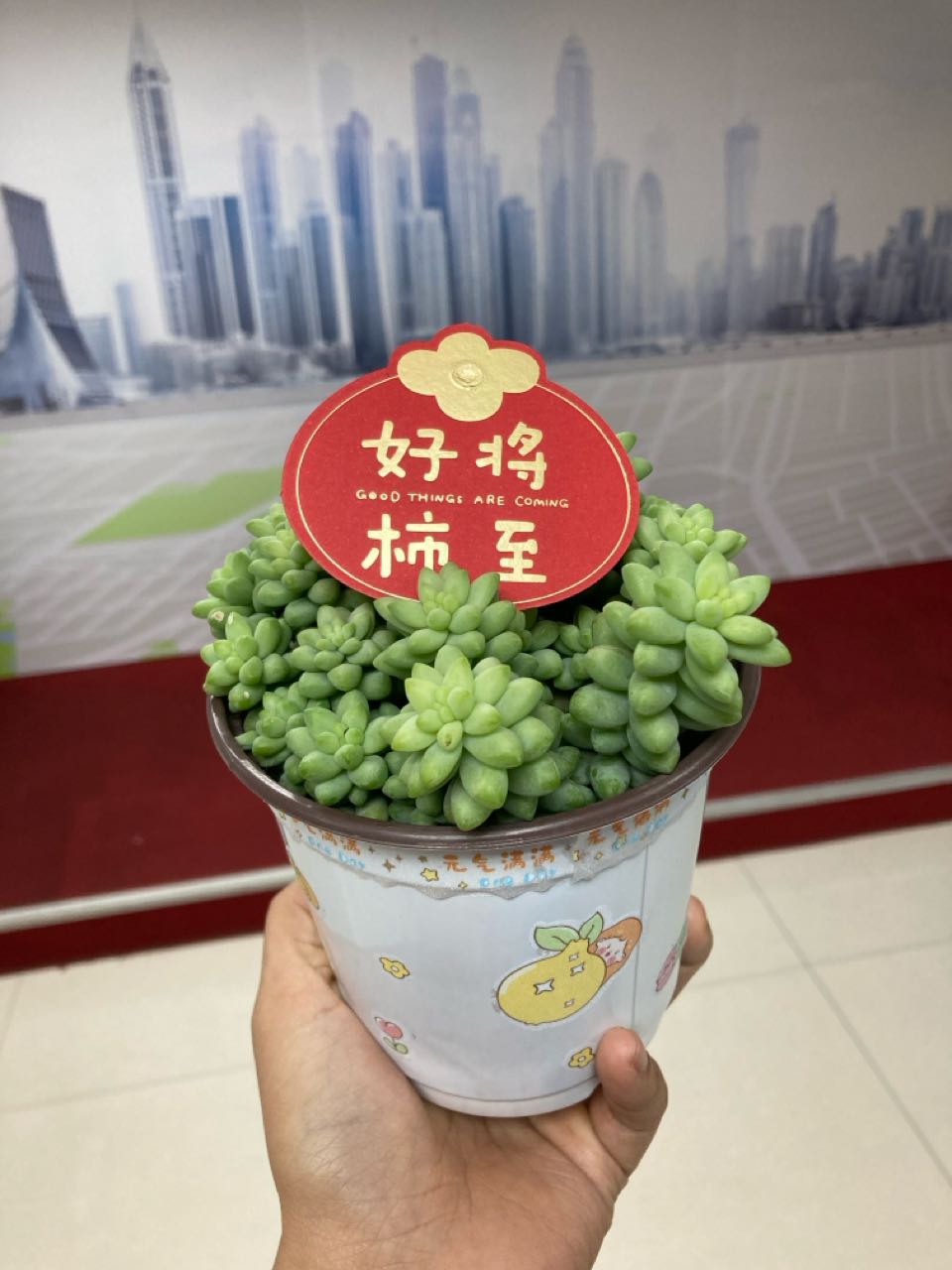 七嘴八舌